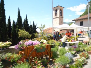 prima vera festa