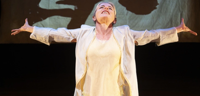 Da Luca Bizzarri a Lucilla Giagnoni:<br>ecco la stagione del Cineteatro Artesfera di Valmadrera
